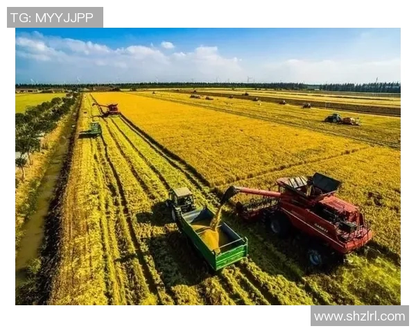 重磅专题聚焦上海排球队中路突破与欧冠足球的创新发展之路